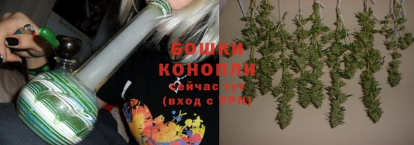 стафф Новозыбков
