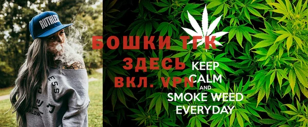 стафф Новозыбков
