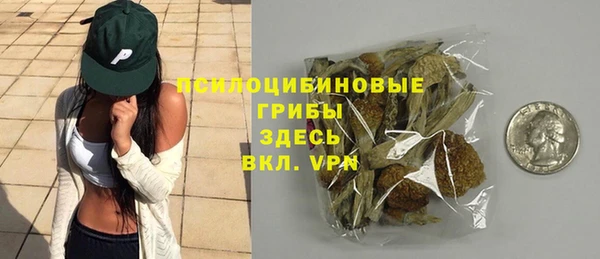 гидра Новодвинск
