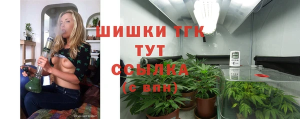 стафф Новокубанск