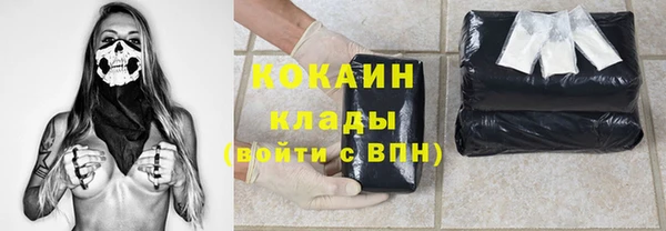 гидра Новодвинск