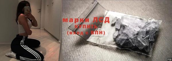 стафф Новозыбков