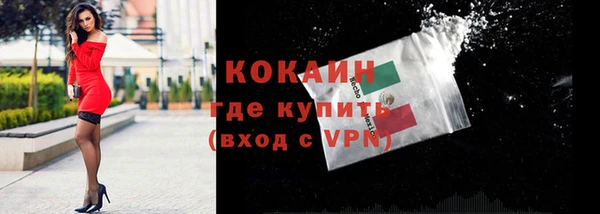 гидра Новодвинск