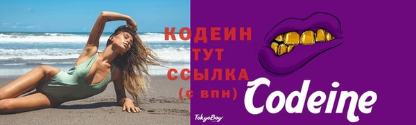 гидра Новодвинск