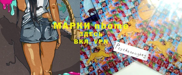 стафф Новокубанск