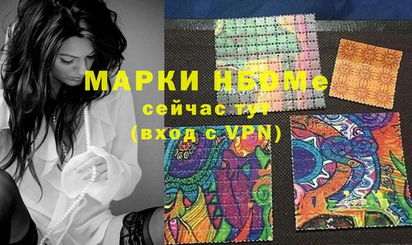 стафф Новокубанск