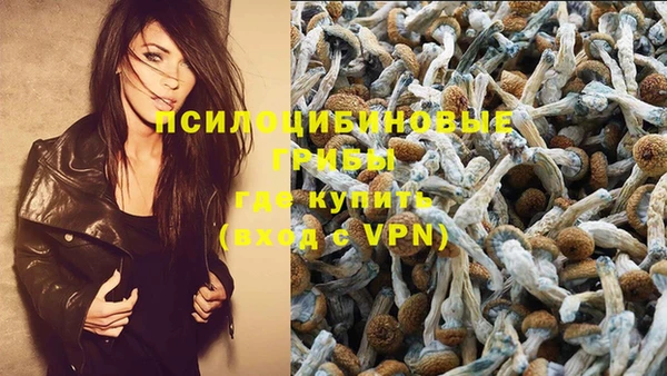 гидра Новодвинск