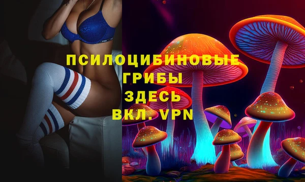стафф Новокубанск