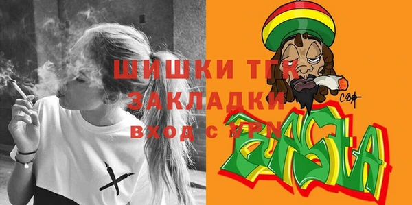 стафф Новозыбков