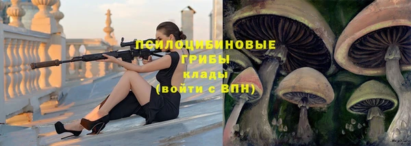 стафф Новокубанск