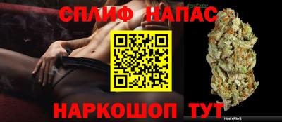 шишки Азнакаево