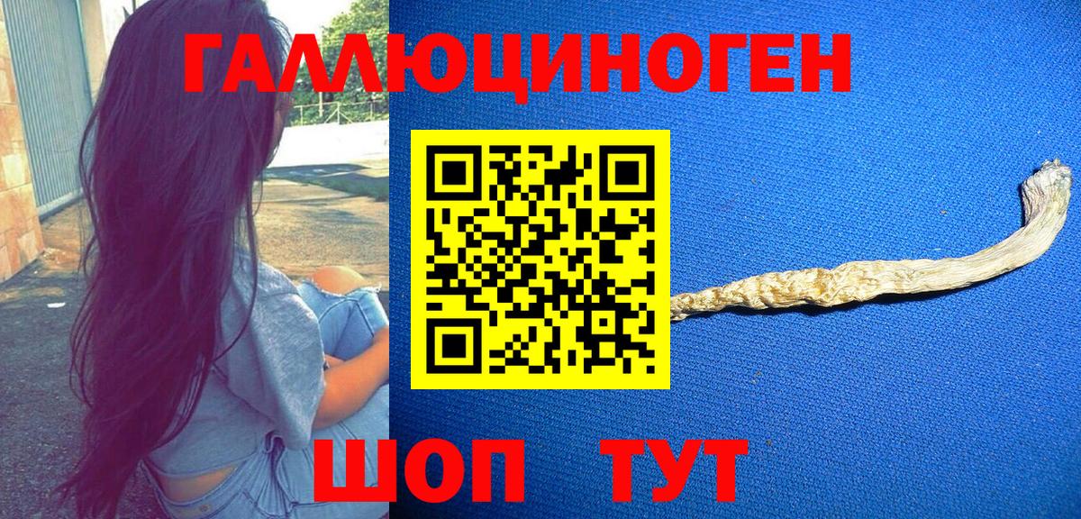 Псилоцибиновые грибы ЛСД Азнакаево